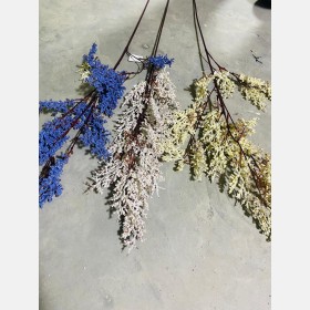 عروق لافندر طويل