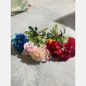 زهور الارجوان