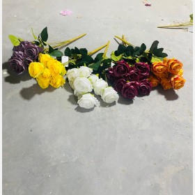 ضمم جوري