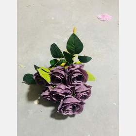 ضمم جوري