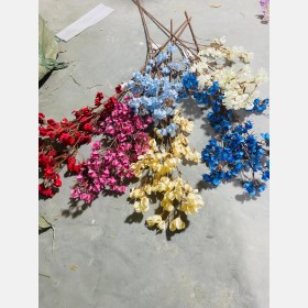 عروق زهر الكرز
