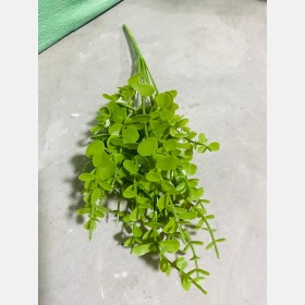 عروق خضار