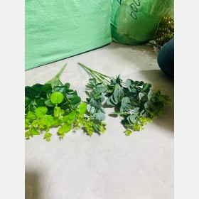 عروق زعتر 2