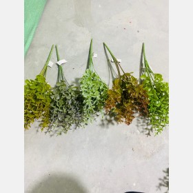 عروق خضار