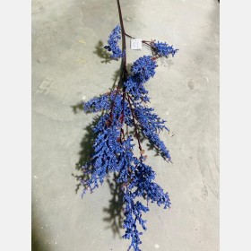 عروق لافندر طويل