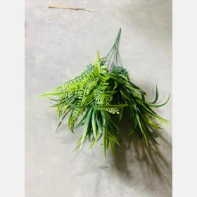 خضار 3
