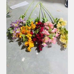 عرق مجنونة