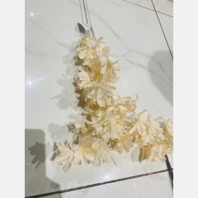 عروق لوز 2