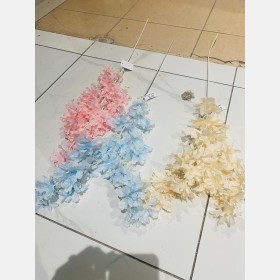 عروق لوز 2
