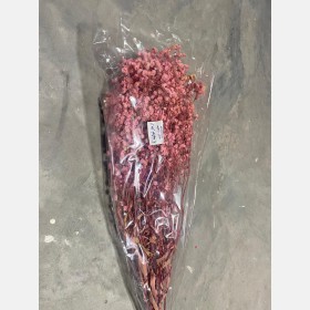 ورد مجفف
