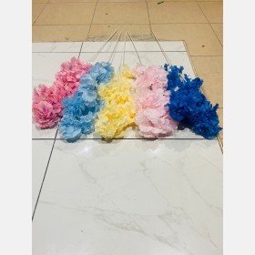 عروق لوز 1