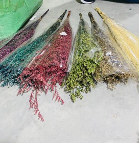 لامونيوم مجفف