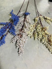 عروق لافندر طويل