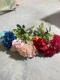 زهور الارجوان