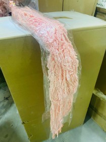 زهر السنسيو