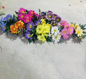 زهور الياسمين