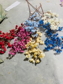 عروق زهر الكرز