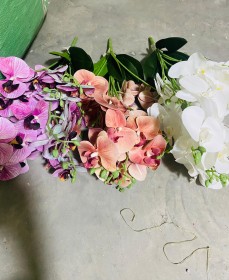 ضمة اوركيدا طبقتين