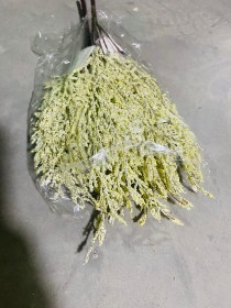 لافندر مجفف