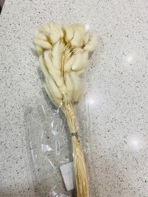 عرق ذيل الارنب