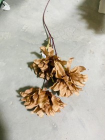 عرق ورد حرير