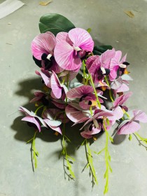 ضمم اوركيدا