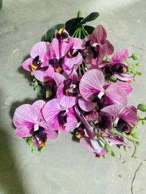 ضمة اوركيدا طبقتين