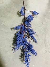 عروق لافندر طويل