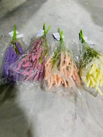 زهور الخزامى