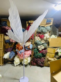 فراشات اضاءة 3