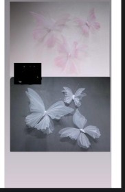 فراشات ديكور